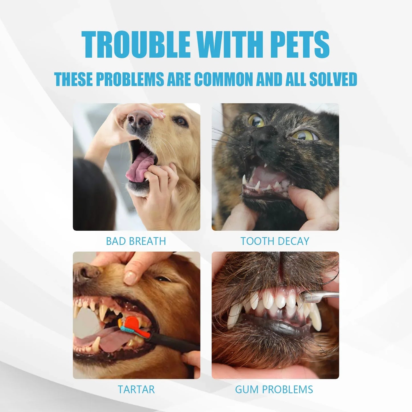 Toothpaste For Dogs Accessories Products Pets Supplies Things Goods Cats Small Breeds Dental Stone Teeth Clean Cleaning