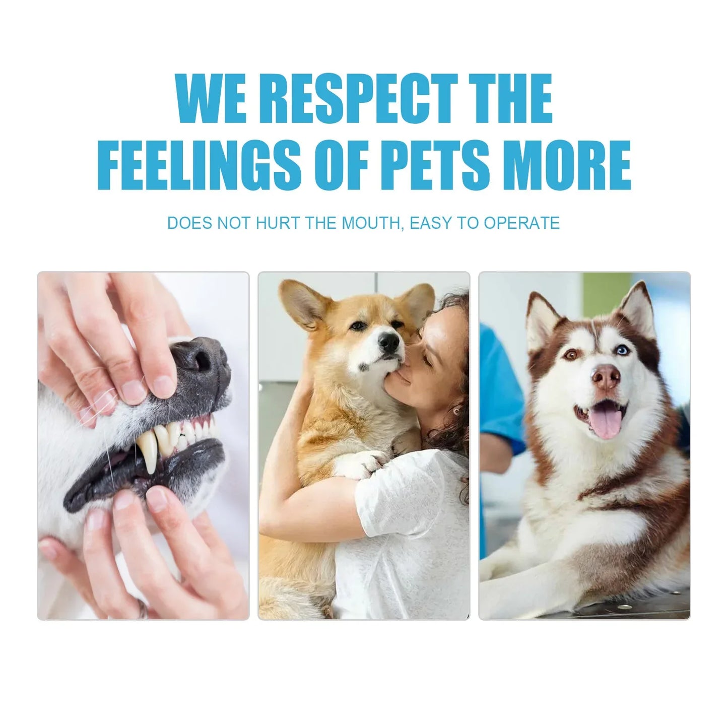 Toothpaste For Dogs Accessories Products Pets Supplies Things Goods Cats Small Breeds Dental Stone Teeth Clean Cleaning