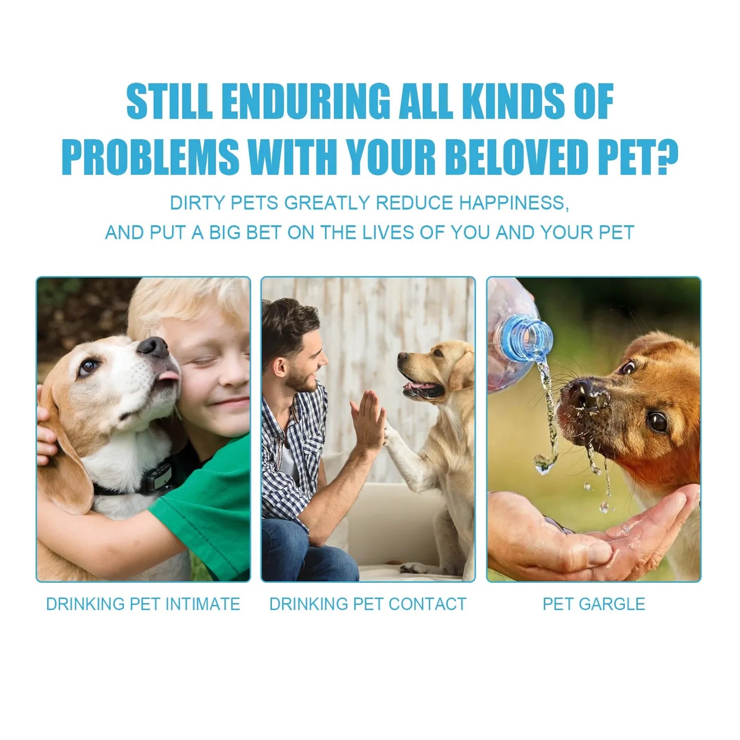 Toothpaste For Dogs Accessories Products Pets Supplies Things Goods Cats Small Breeds Dental Stone Teeth Clean Cleaning
