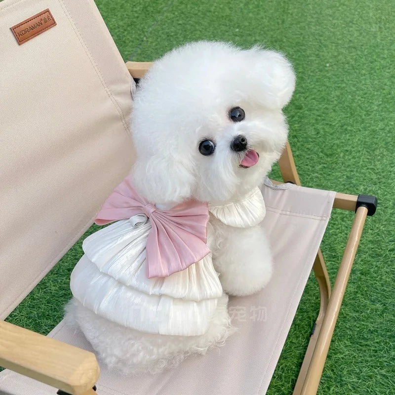 Pet Apparel