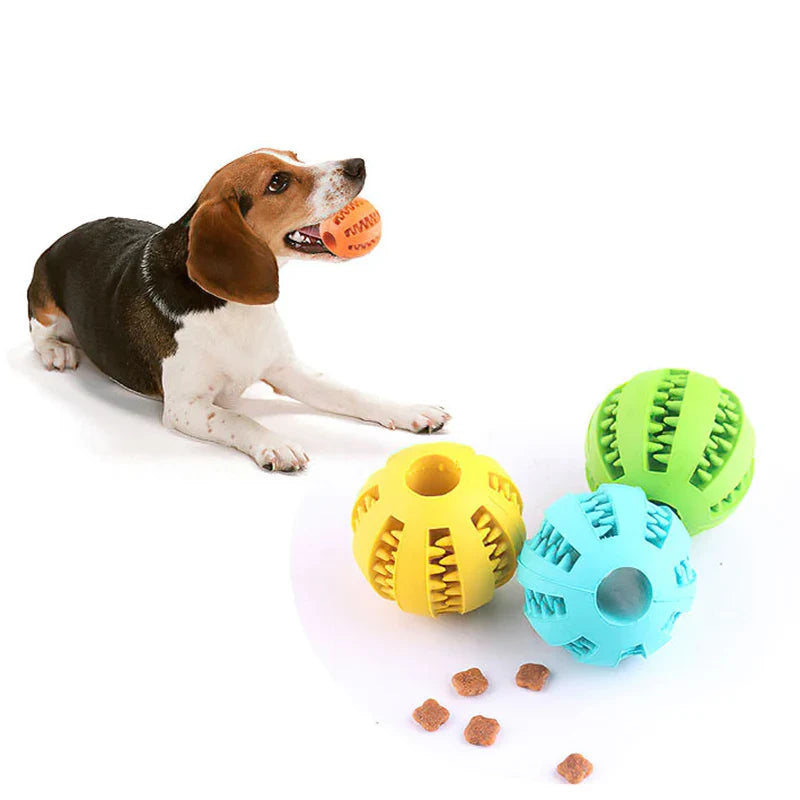 Pet Toys