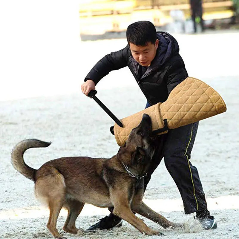 Pet Training Supplies